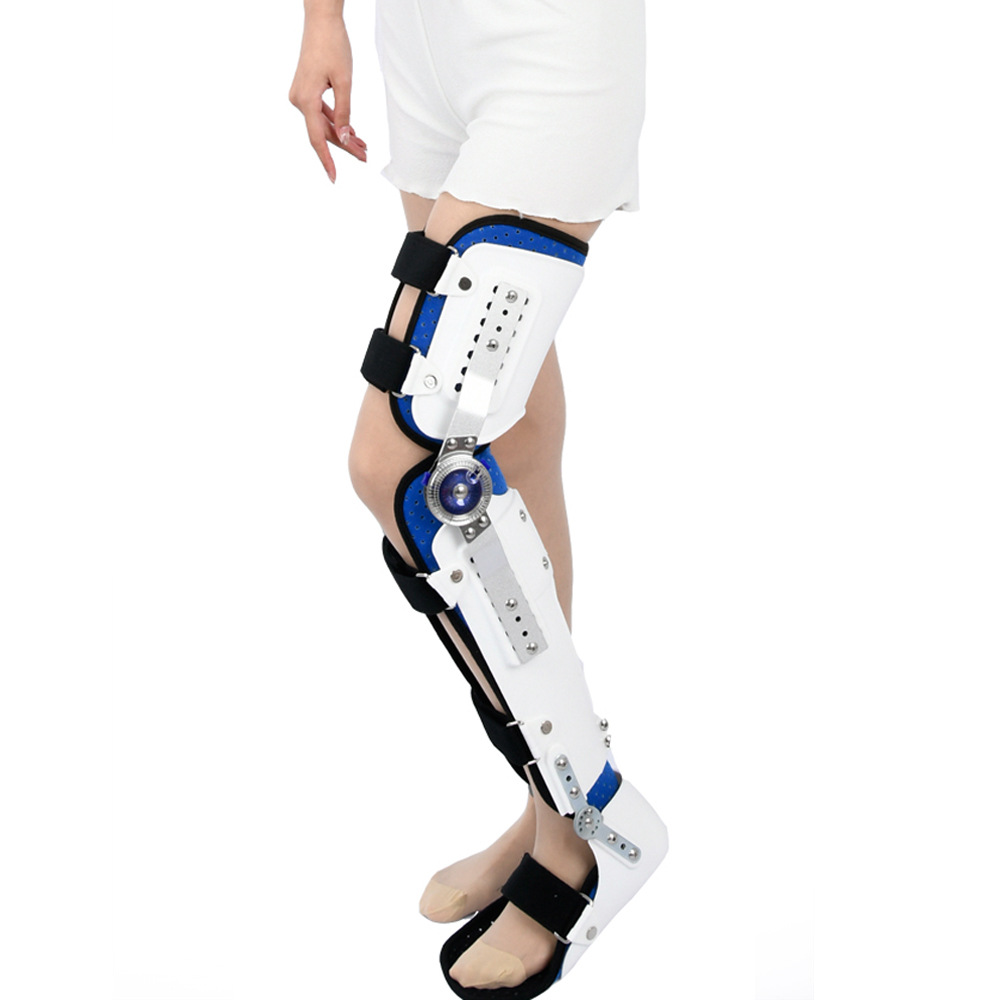 Penyangga Lutut yang Dapat Dis - Ankle Brace ulasan dan harga